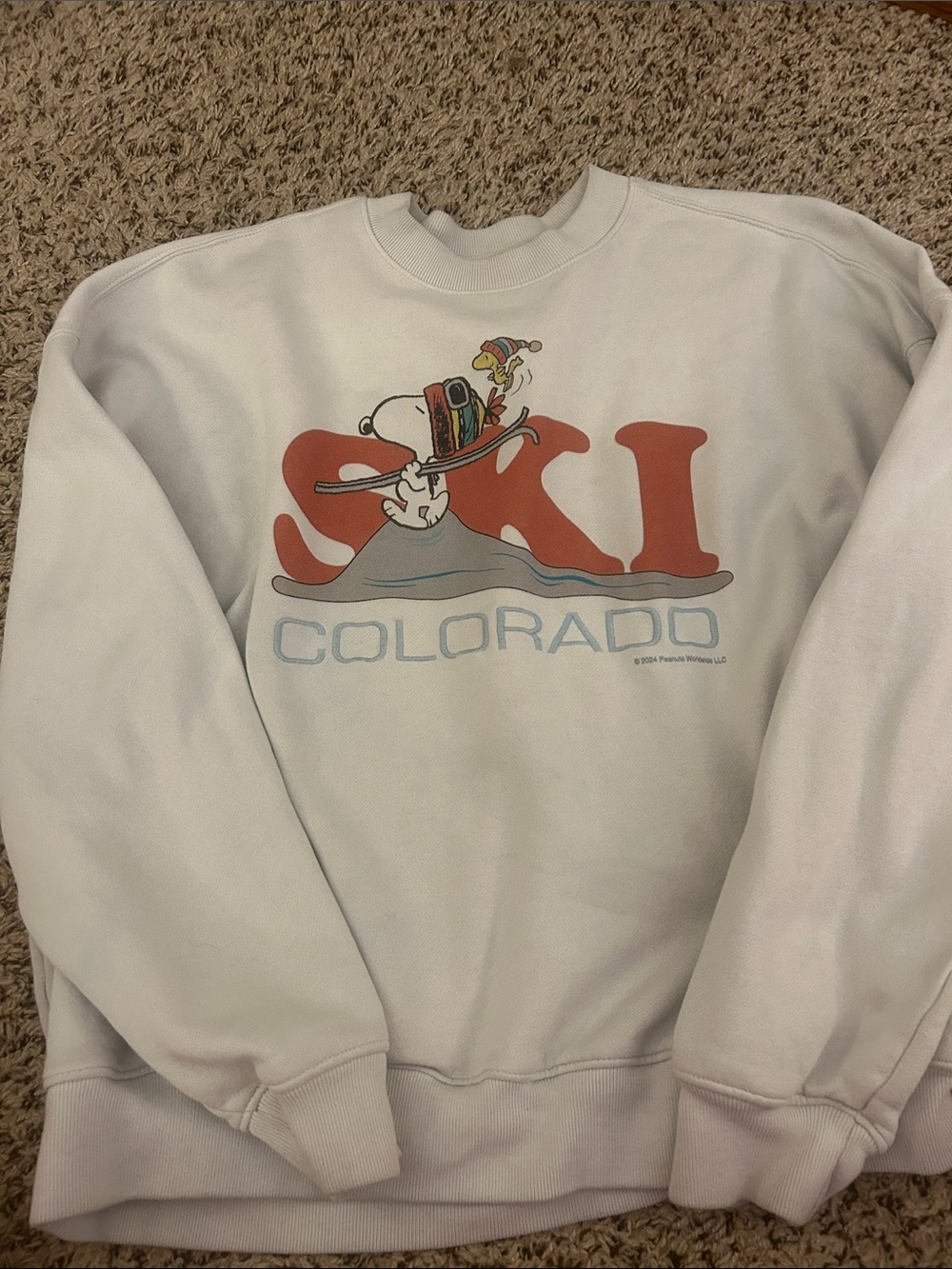 Hollister White Crewneck Sweatshirt with Rust Graphic